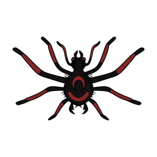 Korkunç Zehirli Örümcek Karikatür Karalama Çizimi Vektör Cadılar Bayramı Dekorasyonu — Stok Vektör