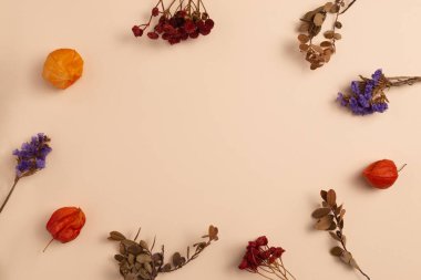 Composition of dry ecological flowers and physalis placed around on a pastel-yellow background