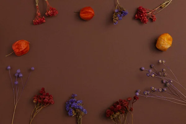 Composition of dried eco-friendly flowers and physalis arranged around a brown background.