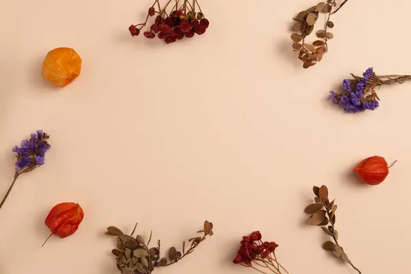 Composition of dry ecological flowers and physalis placed around on a pastel-yellow background