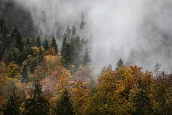 Schöne Aussicht Auf Berge Und Wälder Bedeckt Von Nebel Und — Stockfoto