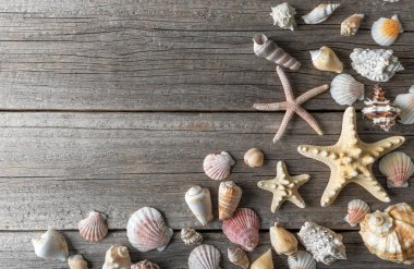Ahşap tahtalarda deniz yıldızı ve deniz kabukları. Metin için boşluk var.