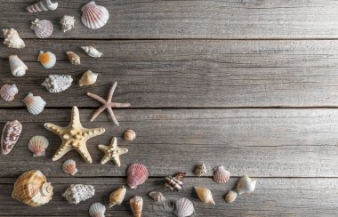 Ahşap tahtalarda deniz yıldızı ve deniz kabukları. Metin için boşluk var.