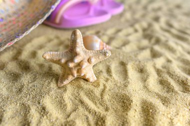 Bir denizyıldızı kumda duruyor. Metin için boşluk var.