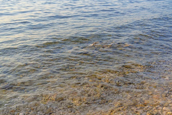 Чистая Морская Вода Каменистое Дно Хорошо Видно — стоковое фото