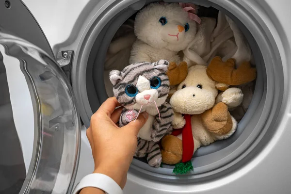 A hand puts a soft toy into the washing machine. Cleaning and housekeeping.