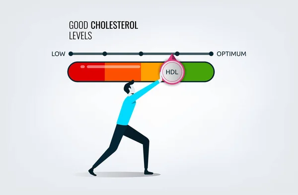 Dobry Wskaźnik Poziomu Cholesterolu Wskaźnikiem Strzałki Analizy Zdrowia Serca Człowiek — Wektor stockowy