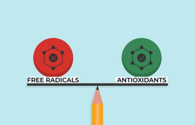 Antioksidan ve serbest radikaller antioksidanlar arasındaki uyumu ve eşitliği sembolize eden ölçekte dengede tutuyorlar..