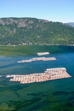 Cowichan Körfezi, Vancouver Adası, British Columbia, Kanada.