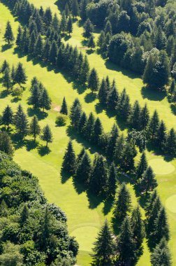 Cowichan Golf ve Golf Kulübü, Balayı Koyu, Cowichan Gölü, Vancouver Adası Hava Fotoğrafları, British Columbia, Kanada.