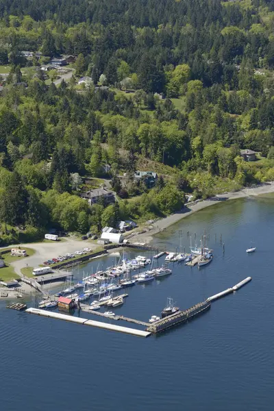 Вид Воздуха Пристань Черри Пойнт Остров Ванкувер Британская Колумбия — стоковое фото