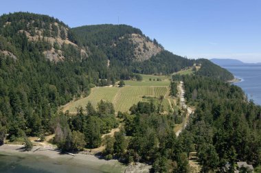 Saturna Adası Aile Eserleri Şaraphanesi, Satürna Adası, British Columbia, Kanada.