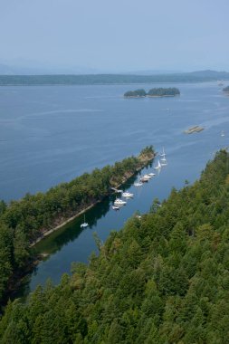 Wallace Adası Deniz İl Parkı, Körfez Adaları, Britanya Kolumbiyası, Kanada.
