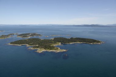 Discovery Island Deniz İl Parkı 'nın hava görüntüsü, Vancouver Adası, İngiliz Kolumbiyası