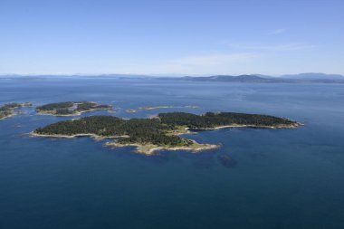 İngiliz Kolumbiyası, Vancouver Adası 'ndaki Discovery Adası Denizcilik Parkı' nın hava fotoğrafı.