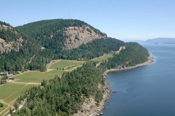 Saturna Adası Aile Eserleri Şaraphanesi, Satürna Adası, British Columbia, Kanada.