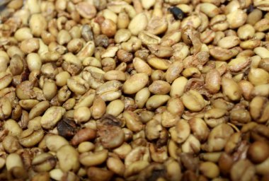 Yeşil kahve çekirdekleri arka planda