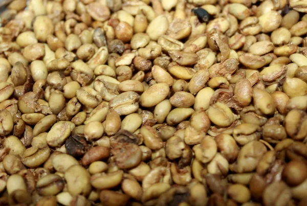 Yeşil kahve çekirdekleri arka planda
