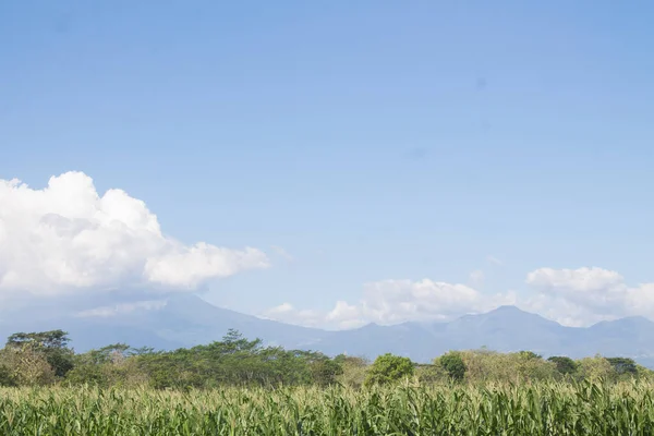 Güzel bir saha manzarası, ruhani bir insan olarak doğa benim için her zaman iyileştirici bir yer olmuştur. Çocukluğuma dönersek çiftlikteki tarlalar ve ormanlar macera yerleriydi..