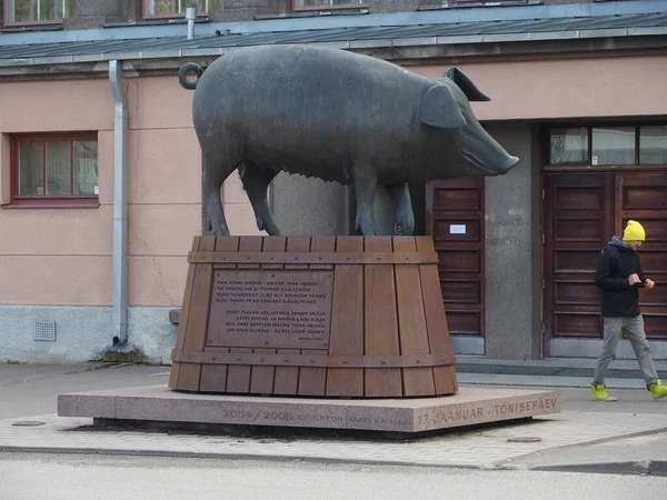 Skulptur Eines Schweins Vor Der Historischen Markthalle Von Tartu Estland — Stockfoto
