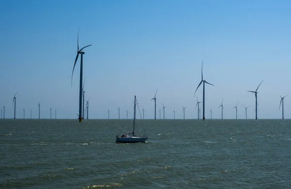 stock image A lot of windmills turbine on the blue sky in sea with Yacht. Netherlands. North Sea.