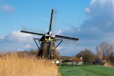 Hollanda Wooden Old Windmill, Westland, Blue Sky ve Green Grass, tipik Holland doğası..