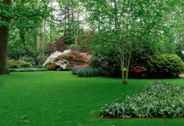 Park ya da Bahçe Peyzaj Tasarımı, ağaçlar, Hollands Keukenhof 'da çimenlik.