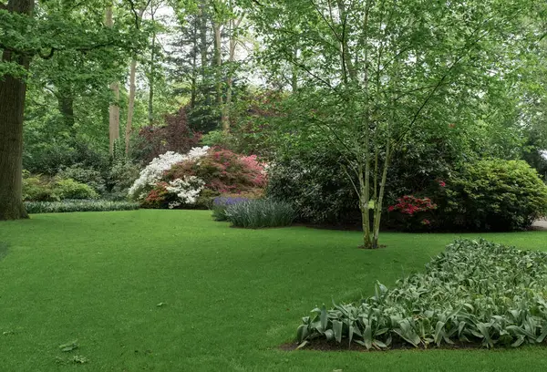 Park ya da Bahçe Peyzaj Tasarımı, ağaçlar, Hollands Keukenhof 'da çimenlik.