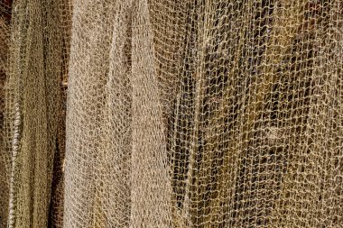 Hollanda Limanı 'ndaki bir çok Büyük Ağ' ın geçmişi Lahey 'de