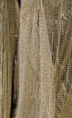 Hollanda Limanı 'ndaki bir çok Büyük Ağ' ın geçmişi Lahey 'de