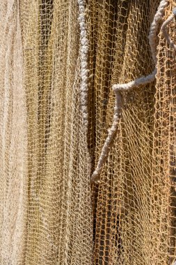 Hollanda Limanı 'ndaki bir çok Büyük Ağ' ın geçmişi Lahey 'de