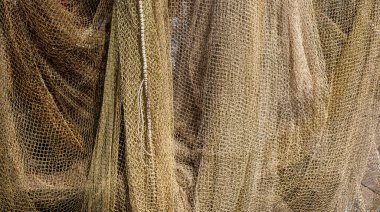 Hollanda Limanı 'ndaki bir çok Büyük Ağ' ın geçmişi Lahey 'de