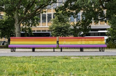 Hollanda 'nın Lahey Merkezindeki gökkuşağı boyalı bank, cinsel azınlıklar için eşitliğin bir simgesi olarak.