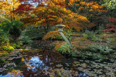 Hollanda, Lahey 'deki Japon Bahçesi. Vintage Old Park 'ta güneşli bir sonbahar günü