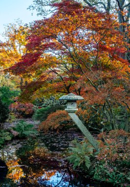Hollanda, Lahey 'deki Japon Bahçesi. Vintage Old Park 'ta güneşli bir sonbahar günü