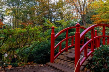 Hollanda, Lahey 'deki Japon Bahçesi. Güneşli bir sonbahar günü Kırmızılı küçük köprüsü olan eski bir parkta.