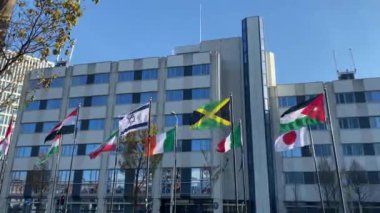 Farklı ülkelerin bayraklarının olduğu bir sokak ya da sokak. Hollanda 'nın Lahey kentinde düzenlenen Dünya Forumu yakınlarındaki bayraklar geçidi.