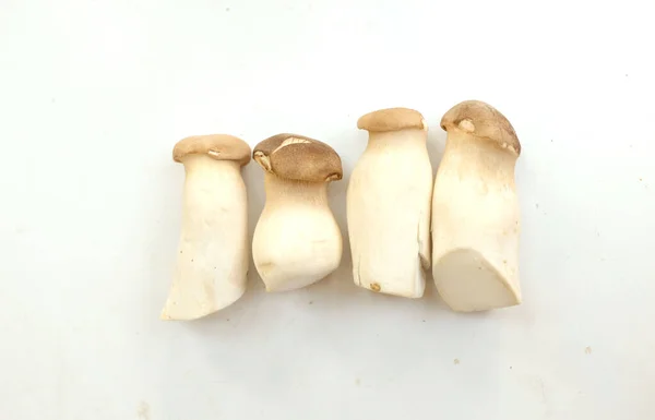 새발의 Eryngii Mushroom Pleurotus Eryngii 수장은 바탕에 고립되었다 Tom Yum — 스톡 사진