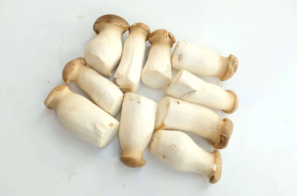 새발의 Eryngii Mushroom Pleurotus Eryngii 수장은 바탕에 고립되었다 Tom Yum — 스톡 사진