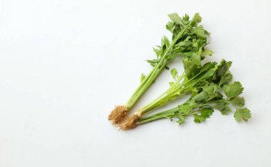 yakın ve düz uzanmış kişniş (kişniş) taze yeşil sebzeler bırakır ve beyaz bir arkaplanda izole eder