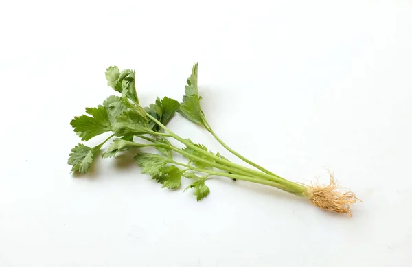 在白色的背景下 卷心菜 叶子新鲜的绿色蔬菜并被隔离 — 图库照片