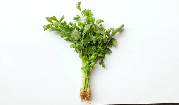 在白色的背景下 卷心菜 叶子新鲜的绿色蔬菜并被隔离 — 图库照片