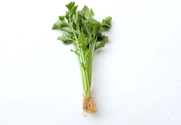 Zbliżenie Płaska Kolendra Kolendra Pozostawia Świeże Zielone Warzywa Izolować Białym — Zdjęcie stockowe
