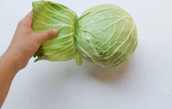 Man Hand Håller Fräsch Och Smaskig Grön Kål Brassica Oleracea — Stockfoto