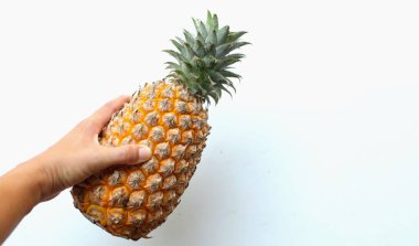 Kadın eli taze bir ananas koza (L) Merr (Ananas comosus) taze sarı organik izolasyonu beyaz bir arka planda tutar. yaz meyveleri konsepti.