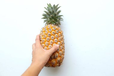 Kadın eli taze bir ananas koza (L) Merr (Ananas comosus) taze sarı organik izolasyonu beyaz bir arka planda tutar. yaz meyveleri konsepti.