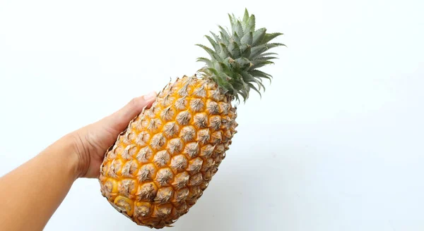 Kvinna Hand Håller Färsk Ananas Ananas Comosus Merr Mogen Gul — Stockfoto