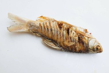 Lezzetli bir kızarmış sazan balığı (Barbonymus gonyonotus) beyaz arka planda izole edilir. yiyecek fotoğrafçılığı