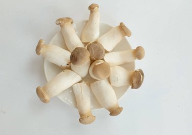 Çiğ çiğ kral istiridye mantarı ve rosmary (Pleurotus eryngii) beyaz bir tabakta, beyaz bir arka planda izole edilmiş, yiyecek hazırlayın.