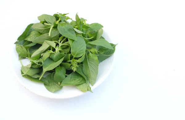 stock image Hairy Basil or Lemon basil Plant (Ocimum citriodorum) leaves fresh green raw in a white plate on a white background.prepare food